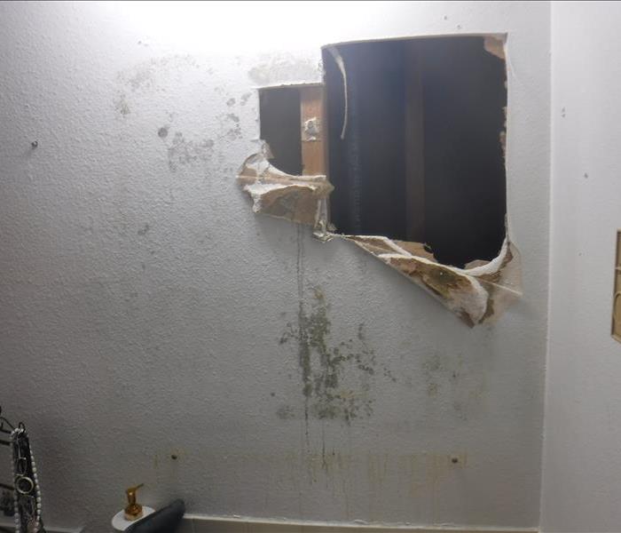 Wall with mold and hole cut out