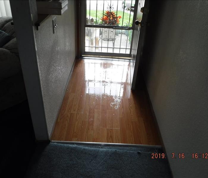 Wet wooden flooring, in a front door entry way.