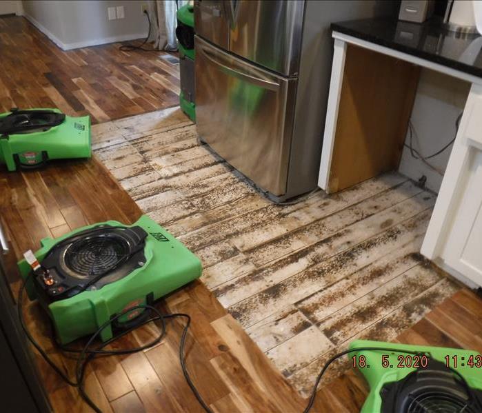 Refrigerator replaced, dishwasher is still gone and green equipment on the floor