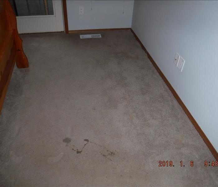 Carpet with spots