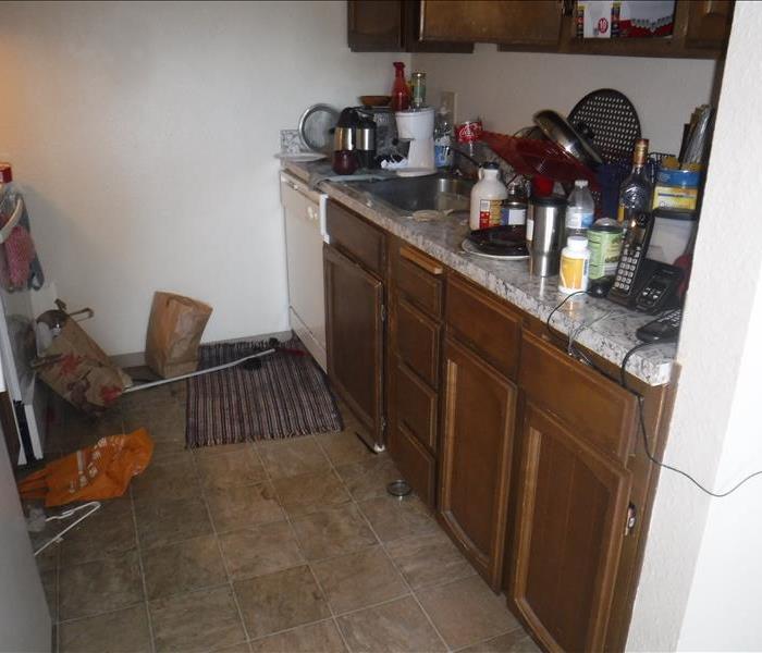 Kitchen area, cabinets and counter top with contents