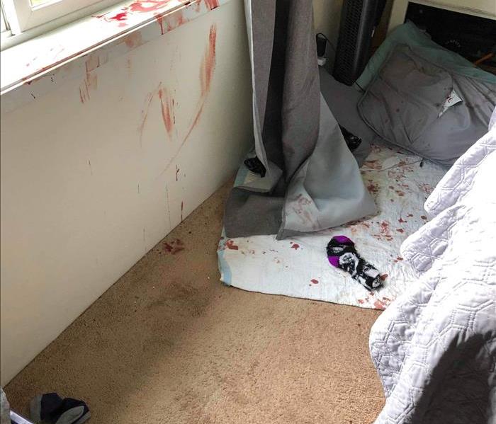 Bloody broken window and bloody couch
