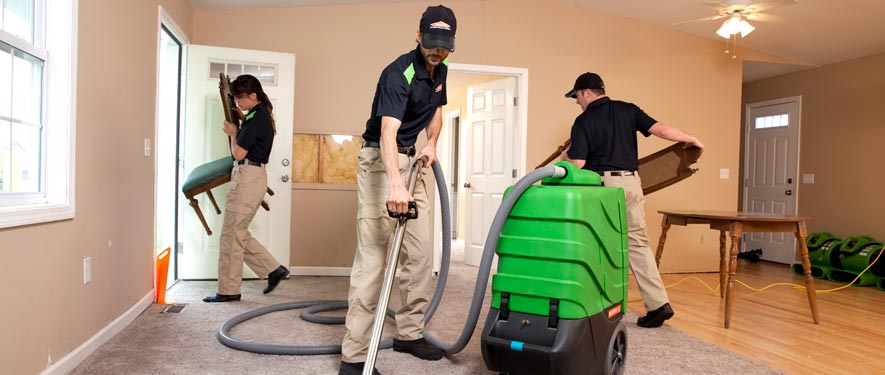 Gig Harbor, WA cleaning services